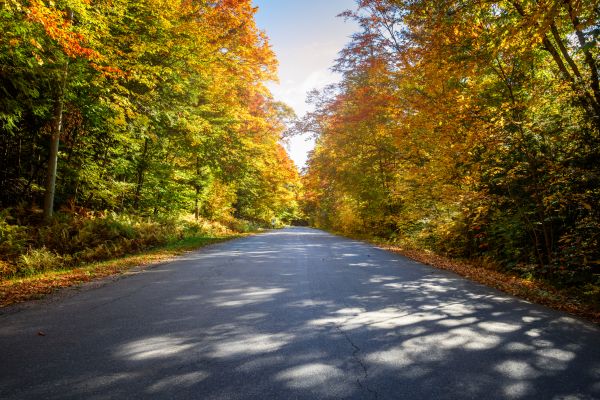 Cost of Blacktop Replacement in Cape Coral